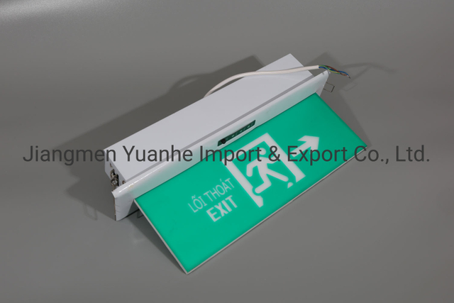 Deckenmontierte LED-Notausgangsleuchte