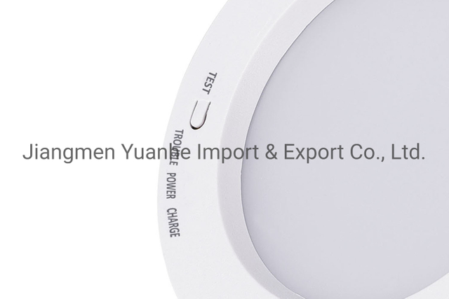 Notfall-LED-Downlight